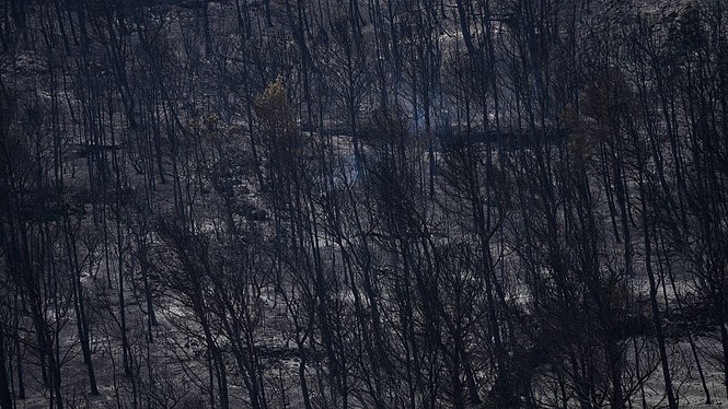 Fast-moving wildfire spreads across southern France