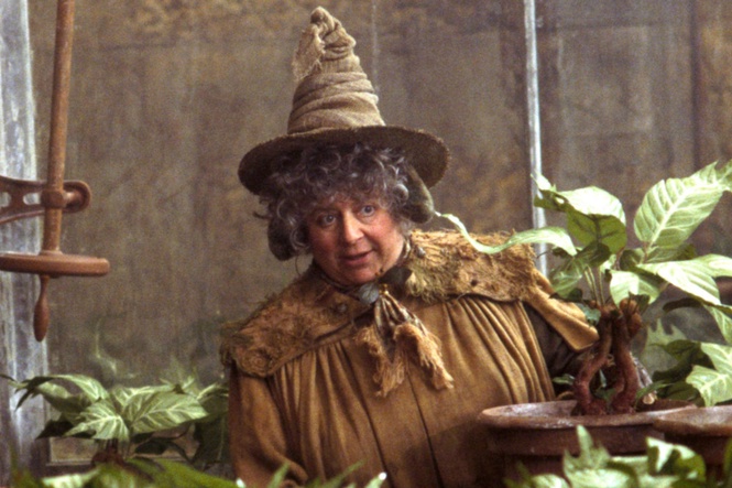 Miriam Margolyes admits she’s made almost 10 times her Harry Pottery salary on Cameo