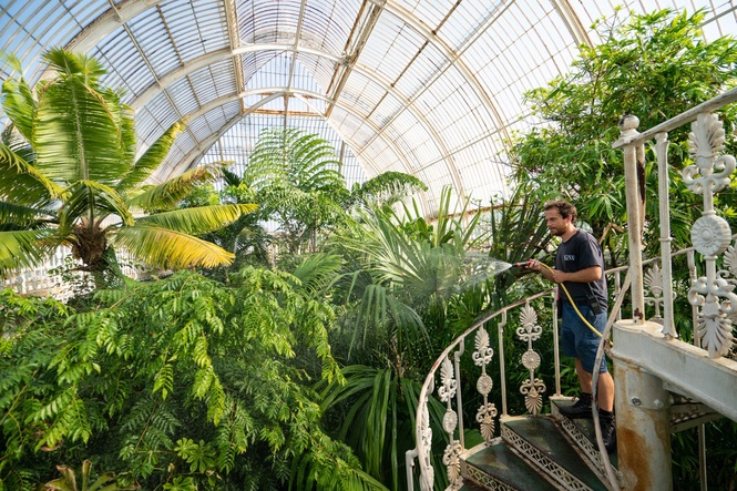 Kew Gardens turns to public to save historic Palm House
