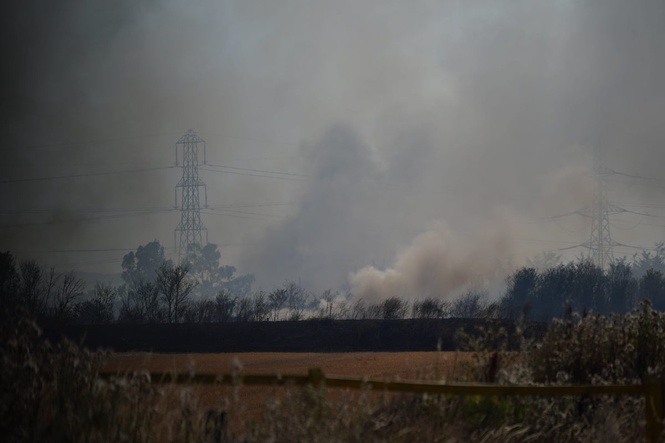 How scorching temperatures increase risk of ‘extreme wildfires’ in England’s forests