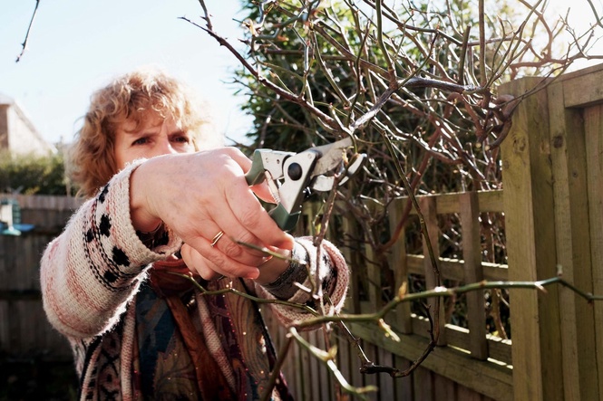 The plants you should prune this September, according to experts