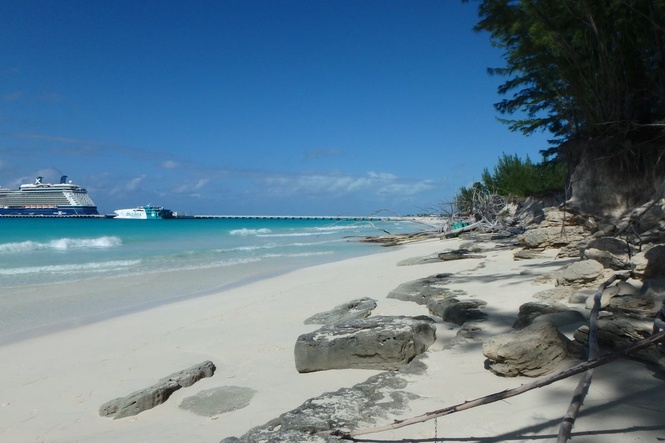 British holidaymaker drowns on Caribbean island after desperate attempt to save her sons