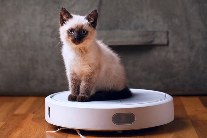 US bans robot vacuums and ‘quadrupeds’ amid panic over Chinese humanoid robots