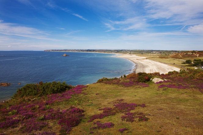 People forced to evacuate beach after rare shark sighting