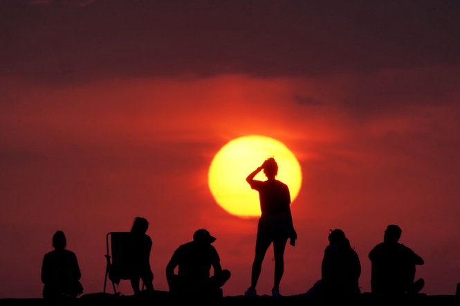 Do solar panels perform better in a heatwave?