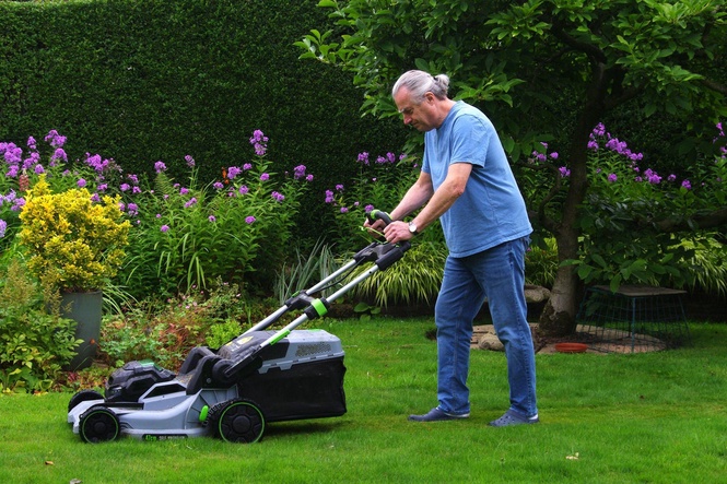 An expert guide to looking after your lawn and garden during a heatwave