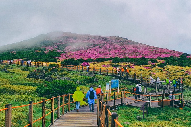 Tourist hotspot in South Korea closed at night after man falls to his death