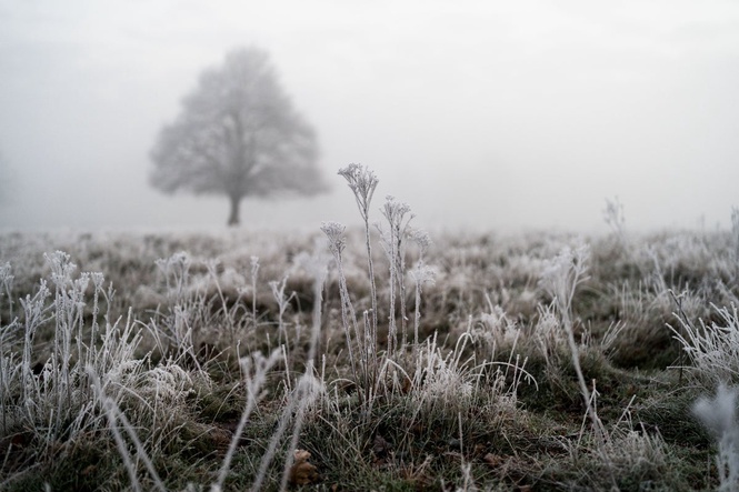 Temperatures set to plunge as rain showers and frost hit the UK