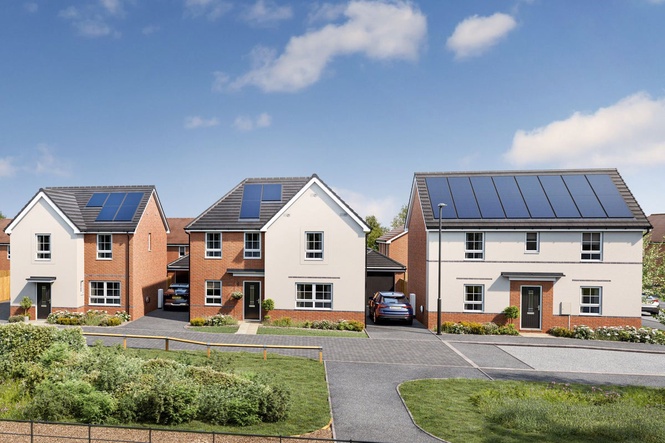 What are the different types of solar panels? Rooftop, plug-in and PV technologies explained