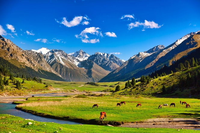 I’m a travel expert. These are the seven hottest destinations to visit in 2026