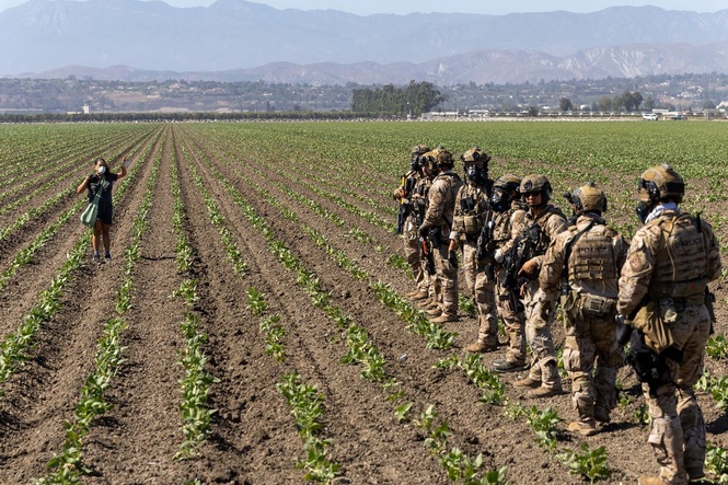 Trump team wants to make it easier for migrants to work on US farms - after targeting them in deportation raids