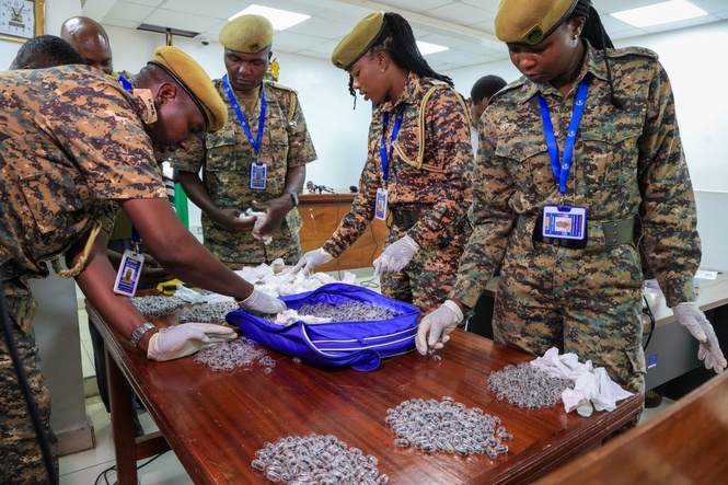 Chinese man jailed for one year by Kenyan court over ant trafficking