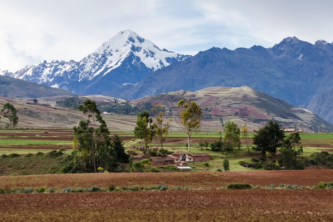 Southern Peru rocked by 6.7-magnitude earthquake