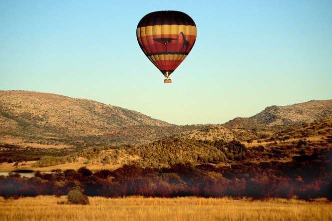 Man finds 13 people in yard after hot air balloon makes emergency landing