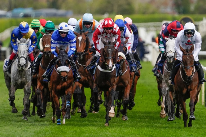 Grand National horse tragically dies moments after pulling up during race