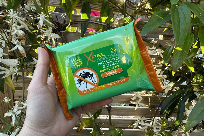 9 best mosquito repellents to keep bites at bay this summer