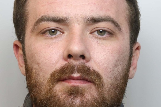 XL bully owner jailed after dog fatally savaged man