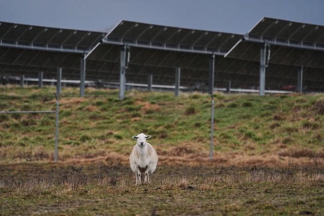 Some American farmers bet on solar. Then Trump changed the rules