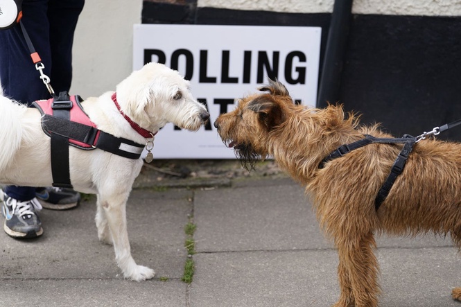 Local elections 2026: What time will be results be announced and where can I find them?