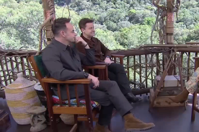 Ant and Dec slam I’m A Celeb’s David Haye in rare criticism of contestant
