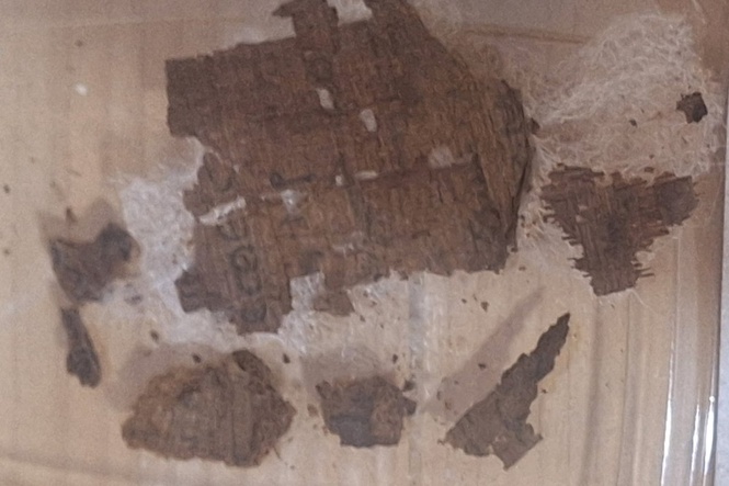 Archaeologists stunned to find copy of Homer’s Iliad inside ancient Egyptian mummy