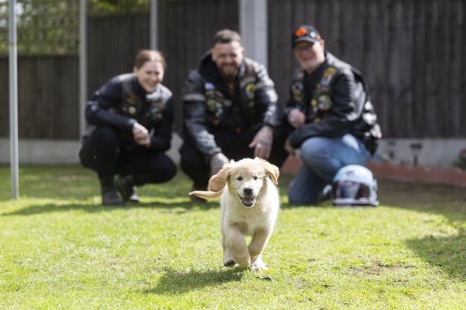 Bikers urged to volunteer to help train guide dog puppies for ‘real world’