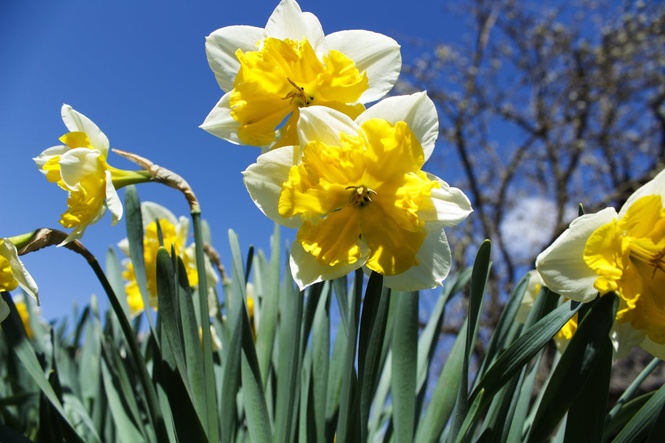 UK weather: Britain will be hotter than Ibiza this weekend with temperatures set to hit 23C
