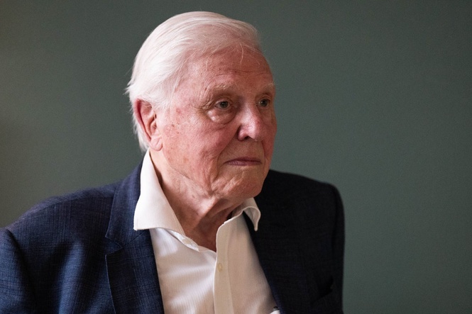 Sir David Attenborough appalled after inadvertently killing a reptile 70 years ago