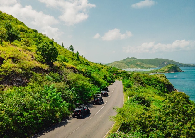 Missing cruise ship passenger found dead on St Kitts nearly a week after disappearance