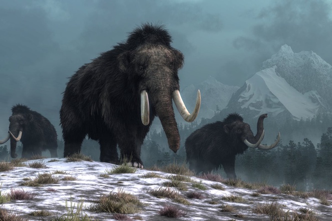 How extinction of giant ice age beasts could still affect food chains