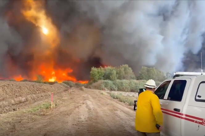 Huge Arizona wildfire ‘0% contained’ after burning through nearly 1,000 acres
