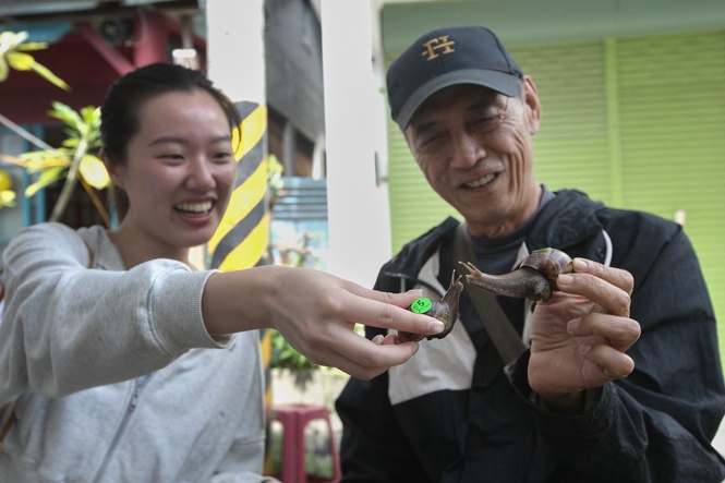 Why a Taiwanese town began racing snails after devastating earthquakes