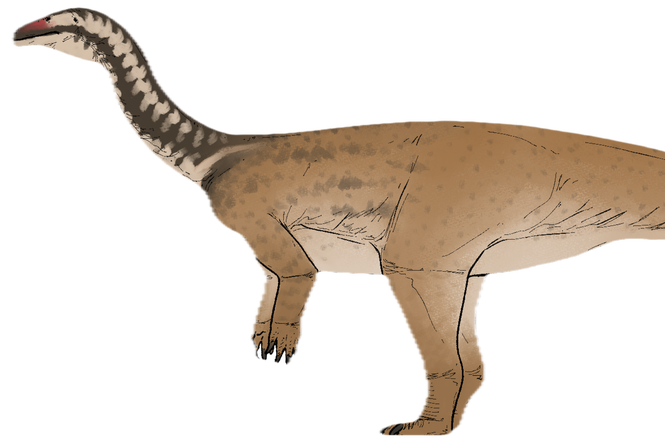 Scientists unearth new dinosaur species that lived 190 million years ago