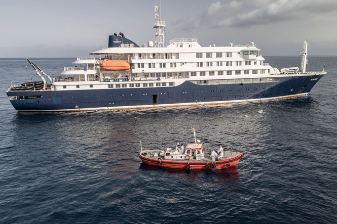 What is hantavirus? Symptoms you need to know after deadly cruise ship outbreak