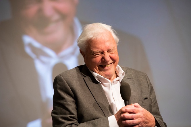 Scientists give Sir David Attenborough a 100th birthday gift: A parasitic wasp
