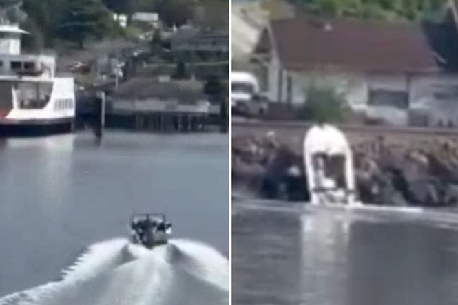 ‘Drunk’ boater passes out at wheel and almost collides with two ferries before smashing into rocks