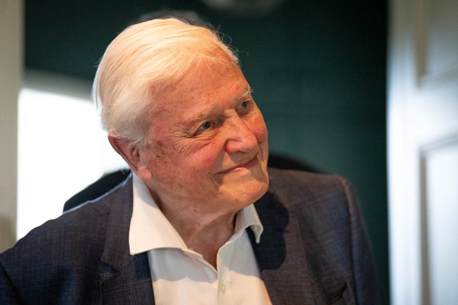 Sir David Attenborough ‘overwhelmed’ by public messages ahead of 100th birthday