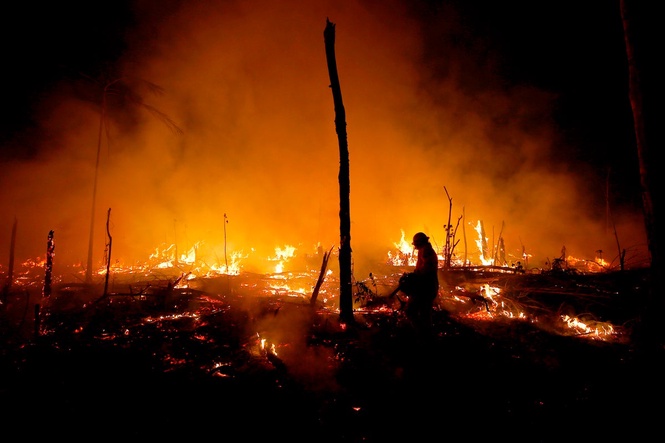 Despite gains combating deforestation in Brazil's Amazon, forest degradation is a looming threat
