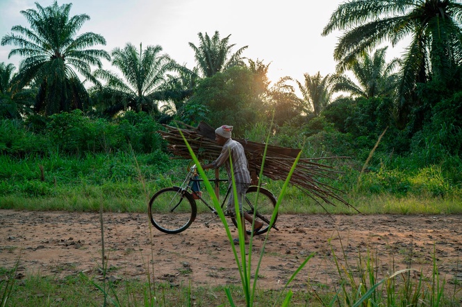 Islamic militants attack Congo villages near Uganda, killing 40 people, local group says