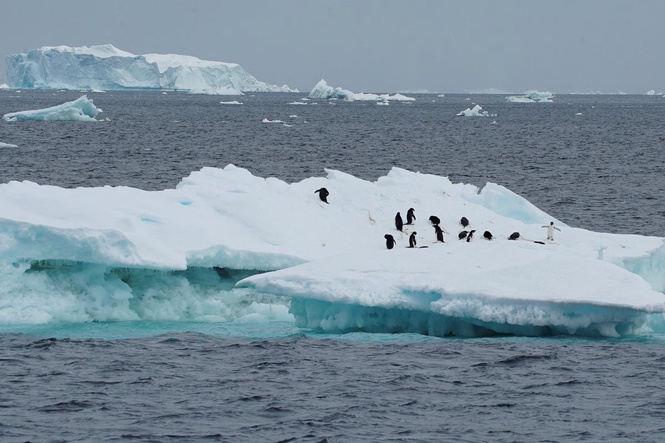 Researchers issue climate change warning as sea ice in Antarctica melts to record lows