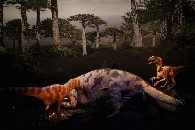 Dinosaur parenting secrets revealed in 80-million-year-old fossil teeth