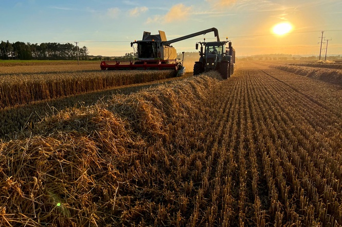 Farmers issue warning as hot weather threatens crops and livestock