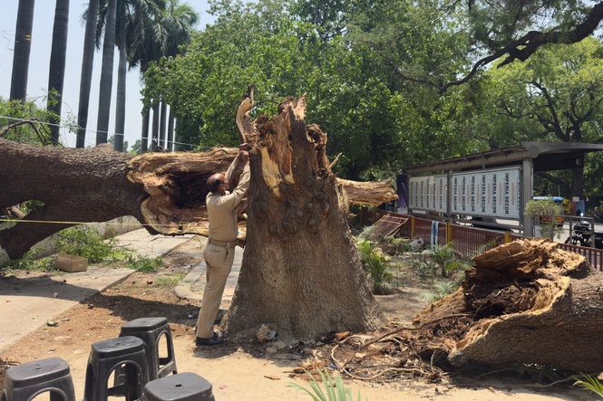 Dust storms and lightning kill at least 96 people in northern India