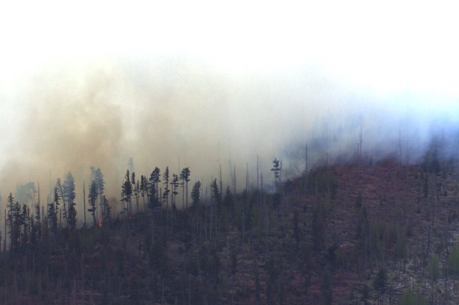 Small medical plane crashes in New Mexico mountains, killing all 4 people aboard