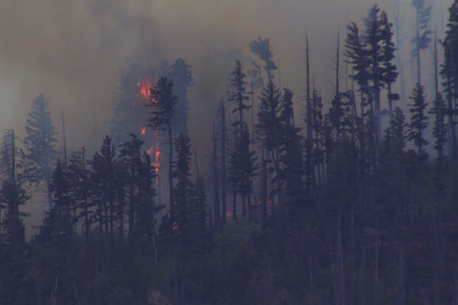 New Mexico wildfire sparked by fatal medical plane crash spreads quickly in rural area