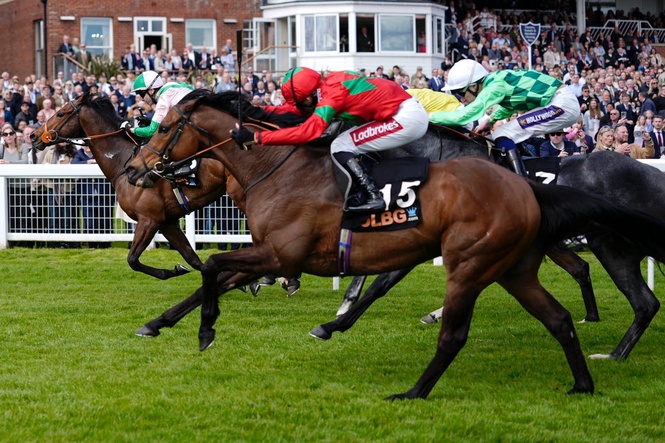Saturday racing tips: Best bets for Newbury and Newmarket