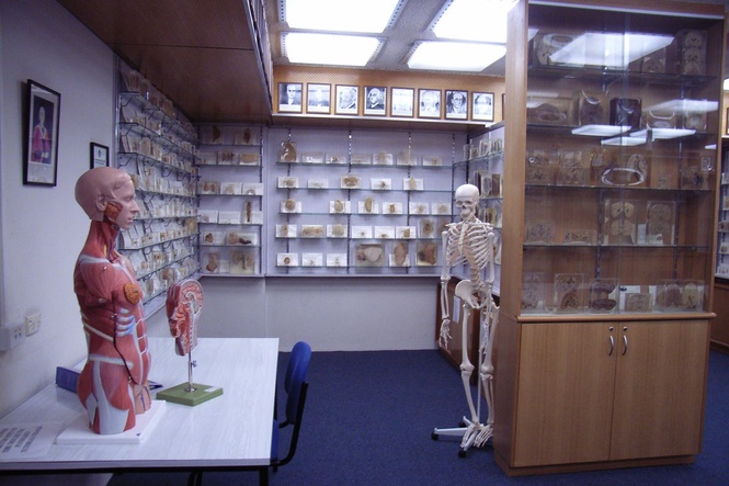 Tasmania apologises for keeping autopsy body parts without consent of families