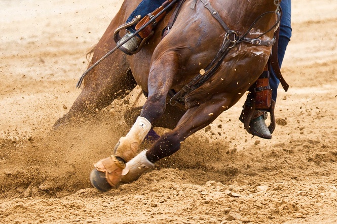 Teenage competitor accused of stabbing horses at Las Vegas barrel racing event, police say