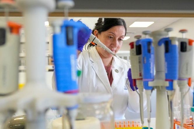 Tools to fight hantavirus show promise despite limited funding. Now researchers hope to continue