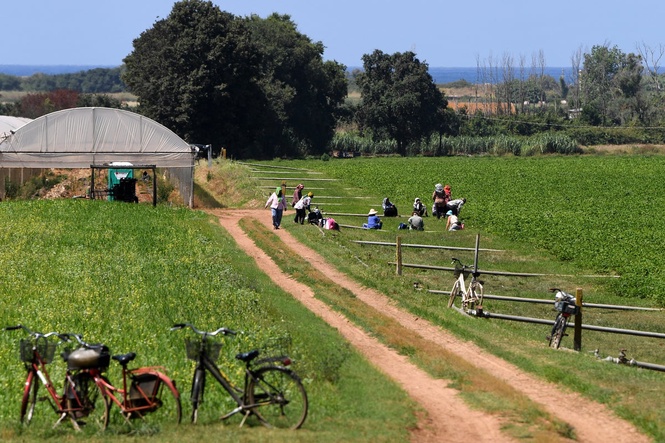 Four migrant farm workers burned alive in minivan in Italy